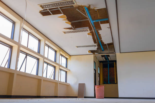 Best Flooded house restoration  in Fort Pierce South, FL