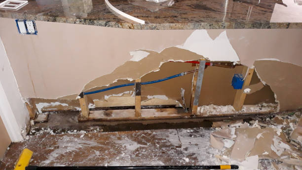 Best Water damage cleanup near me  in Fort Pierce South, FL
